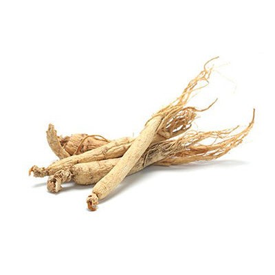 Ginseng